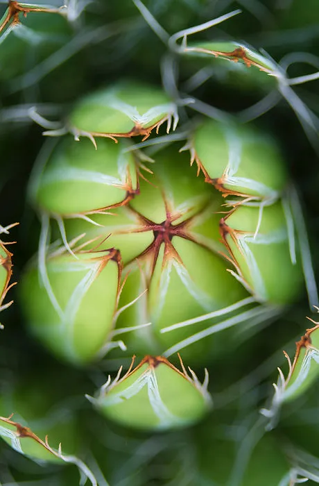 Eye Movement Desensitization and Reprocessing (EMDR)